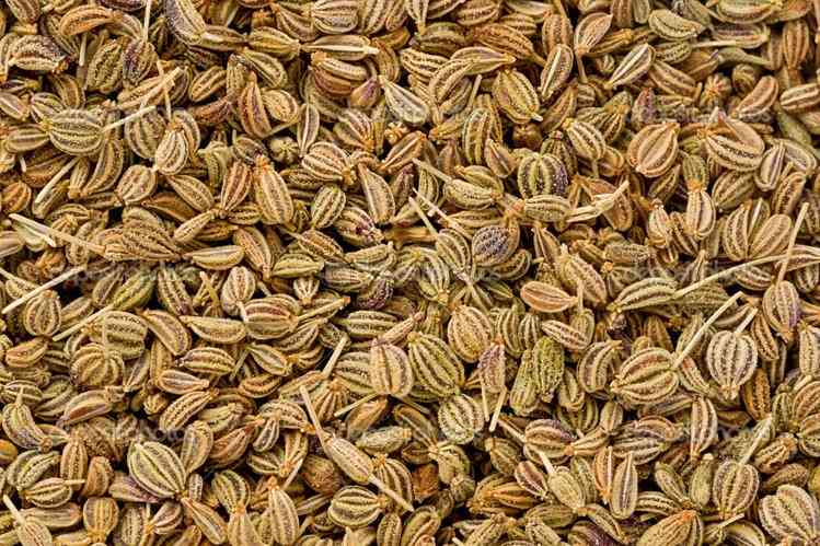 Ajwain के सेवन से बच्चे के पेट के सारे कीड़े मर जायेंगे